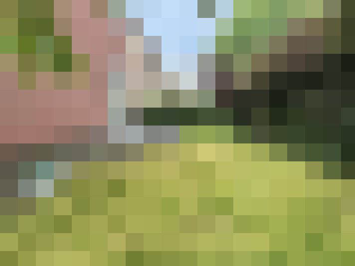 Image 16