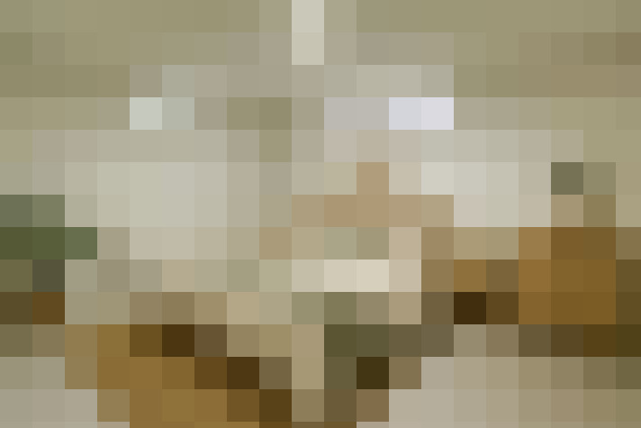 Image 23