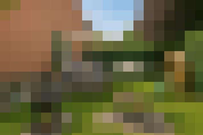 Image 24