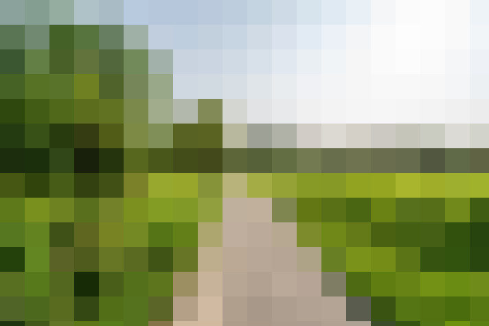 Image 23
