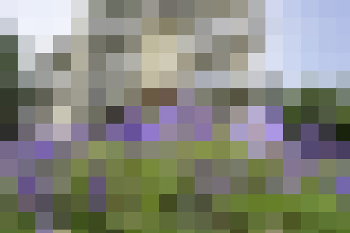 Image 18