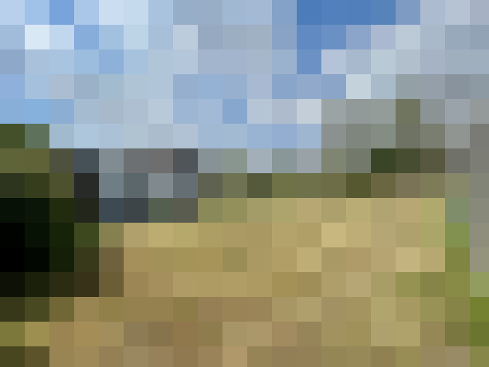 Image 36