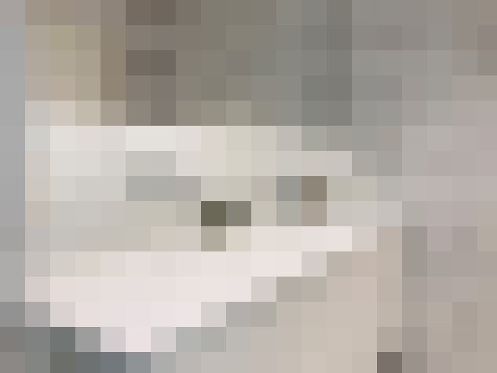 Image 27