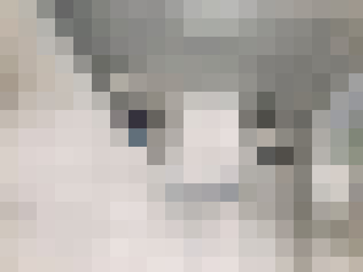 Image 29