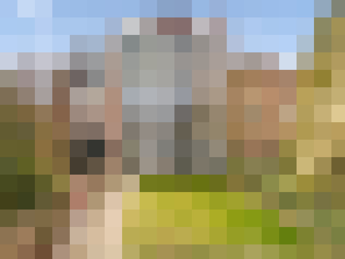 Image 15