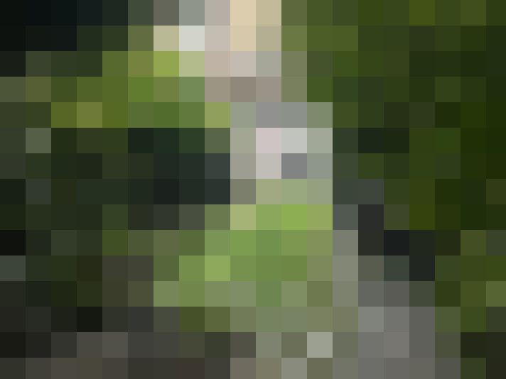 Image 25