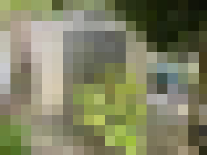 Image 27