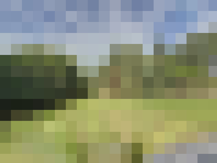 Image 23