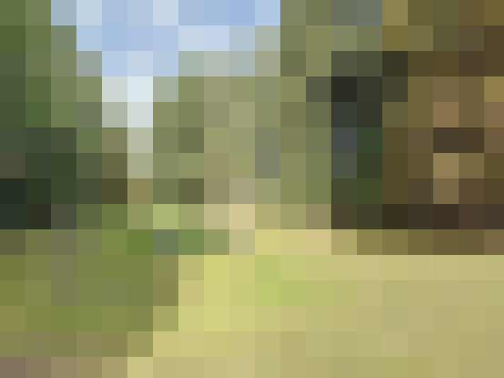 Image 26