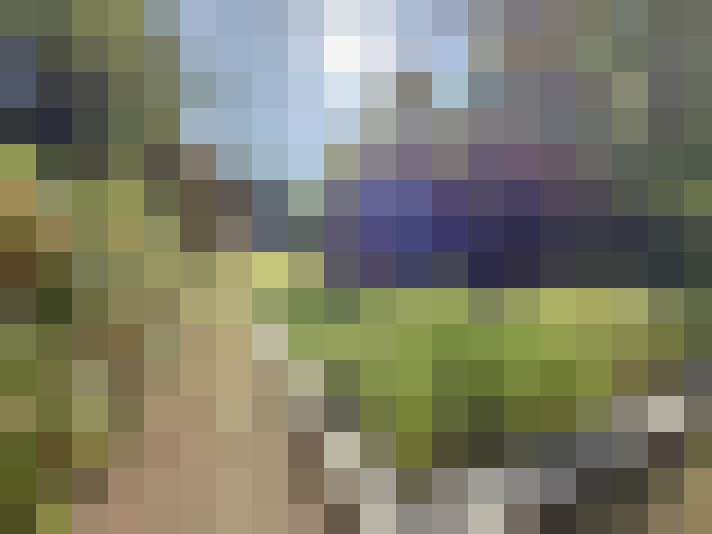 Image 25