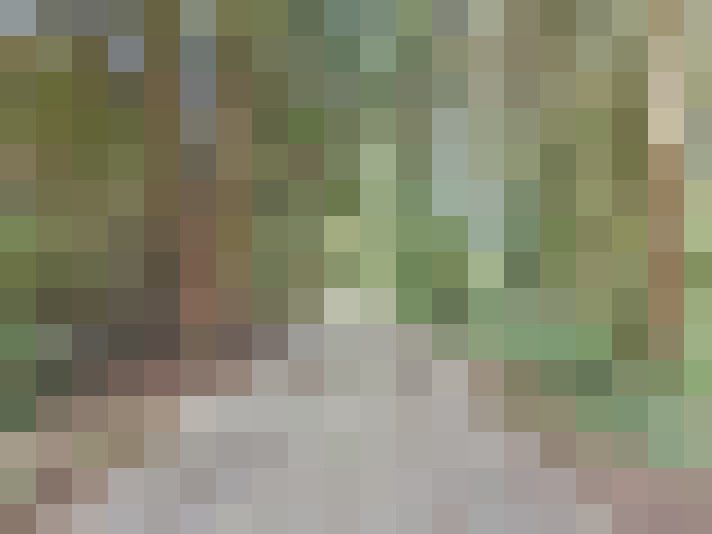 Image 33