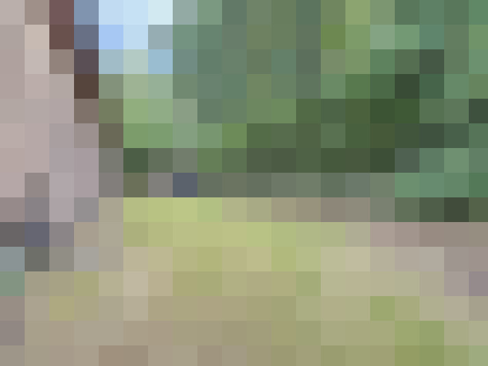 Image 28