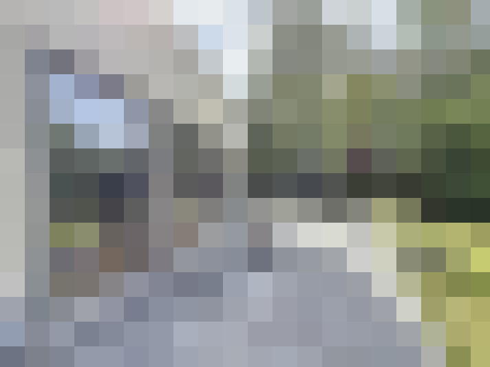 Image 22