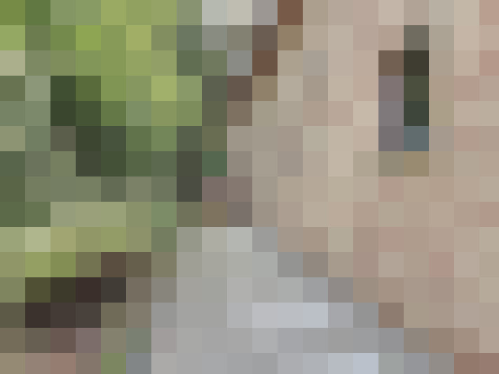 Image 29