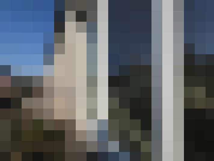 Image 21