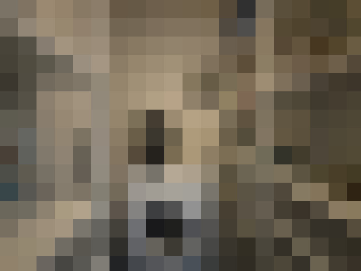 Image 14