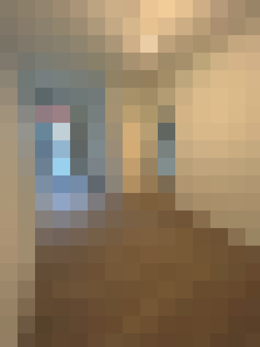 Image 17