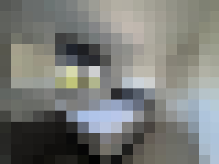 Image 13