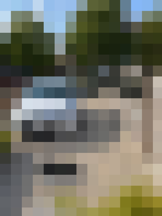 Image 14