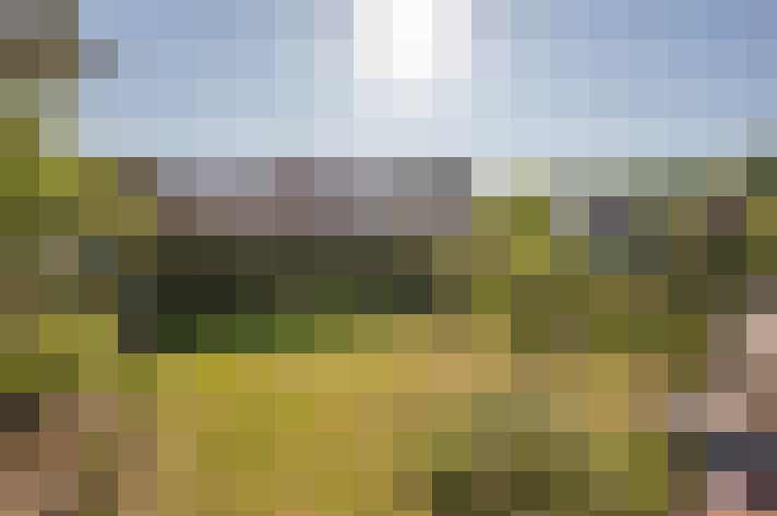 Image 23