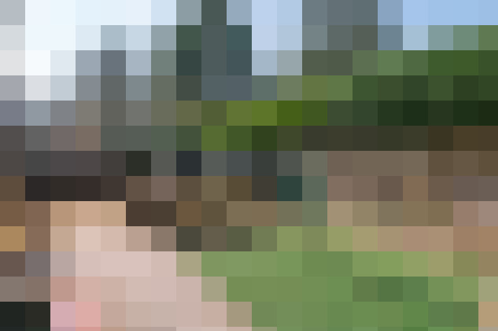Image 27