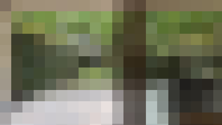 Image 20