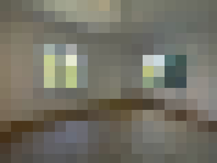 Image 13