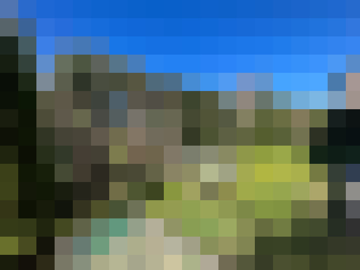 Image 21