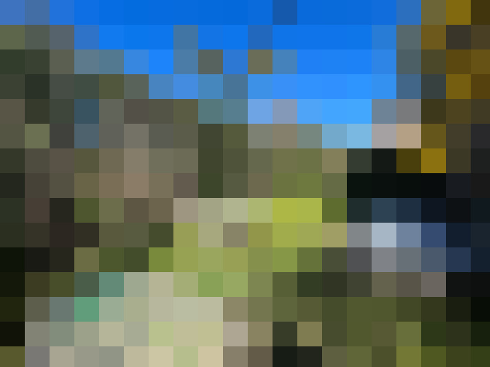 Image 22