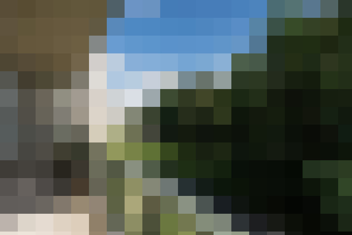 Image 15