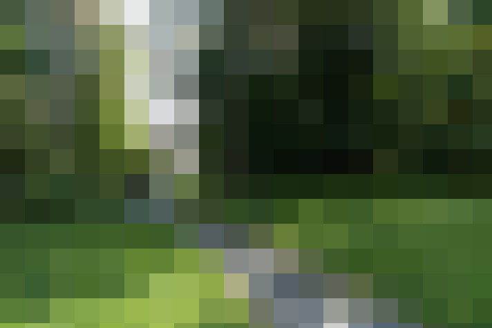 Image 18