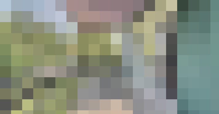 Image 13