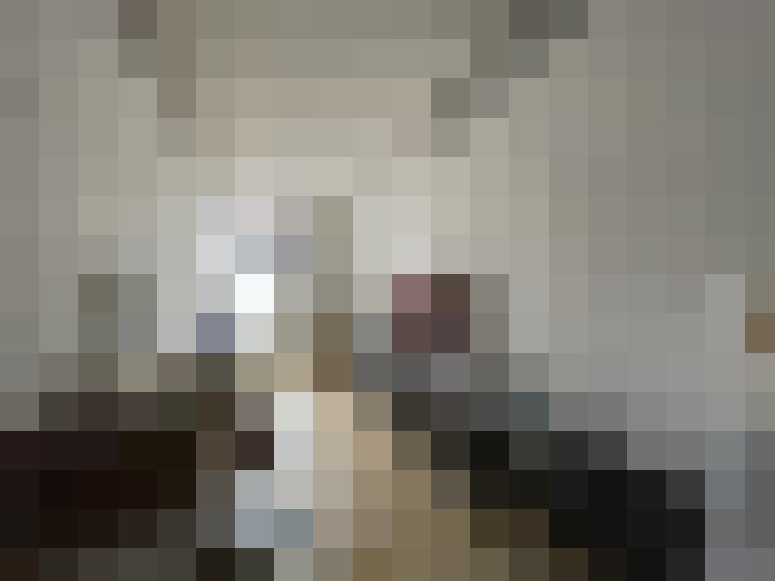 Image 15