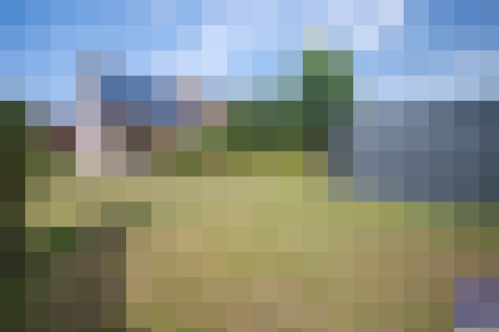 Image 15