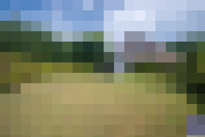 Image 14