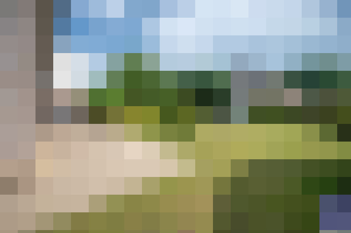 Image 13