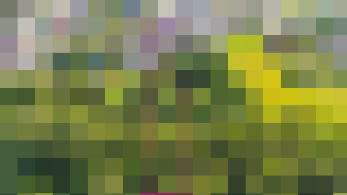 Image 45