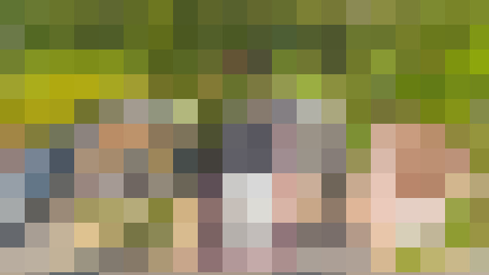 Image 44