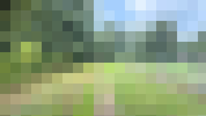 Image 35
