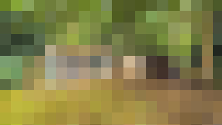 Image 38