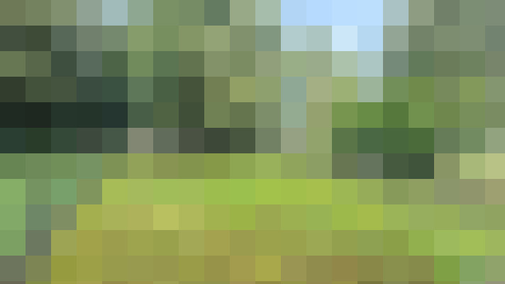 Image 37