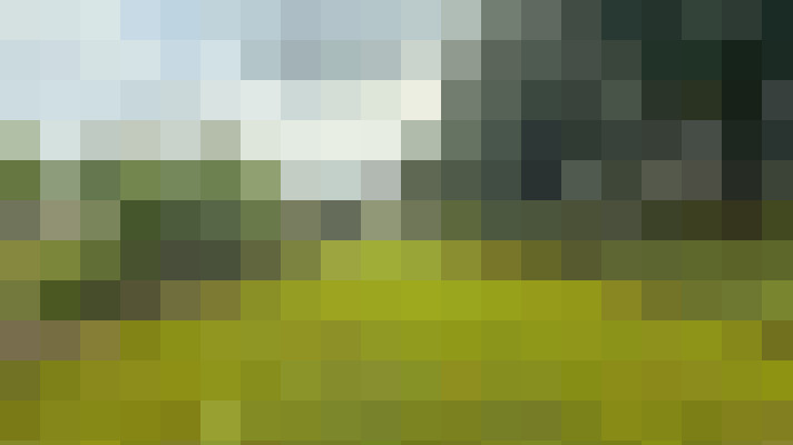 Image 39