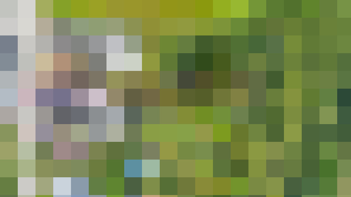 Image 46