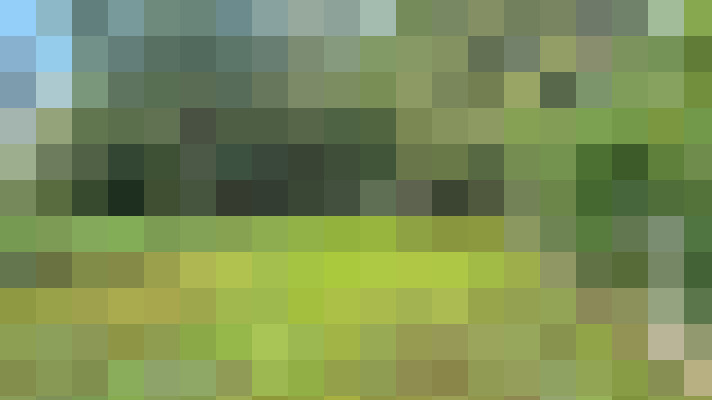 Image 36