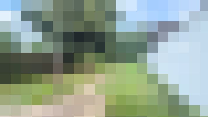 Image 34