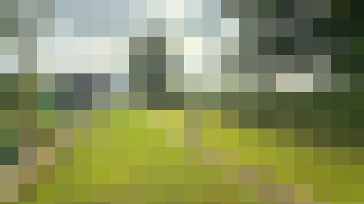 Image 40
