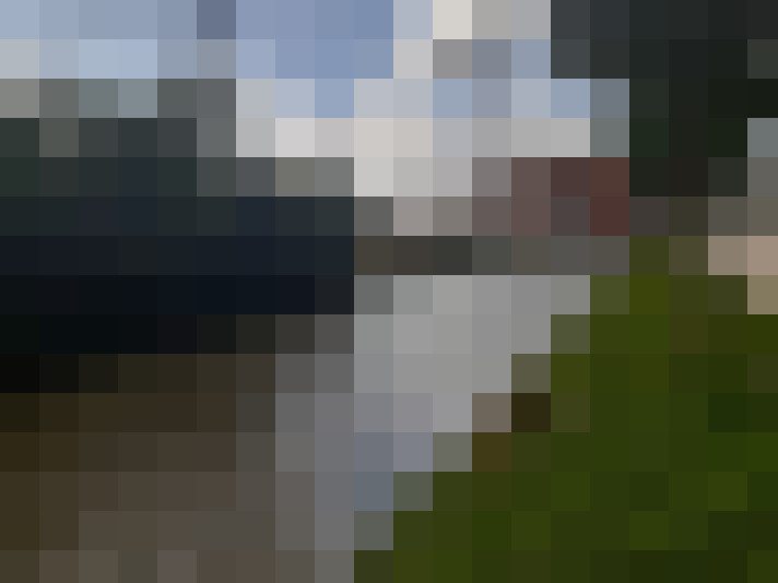 Image 31