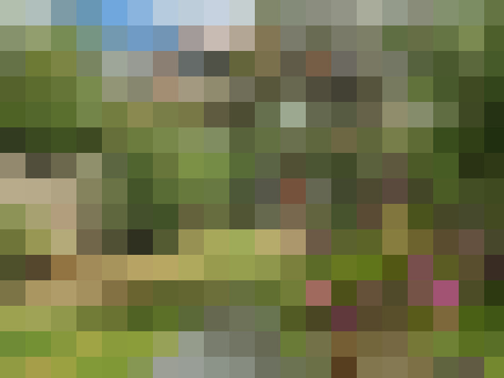 Image 27