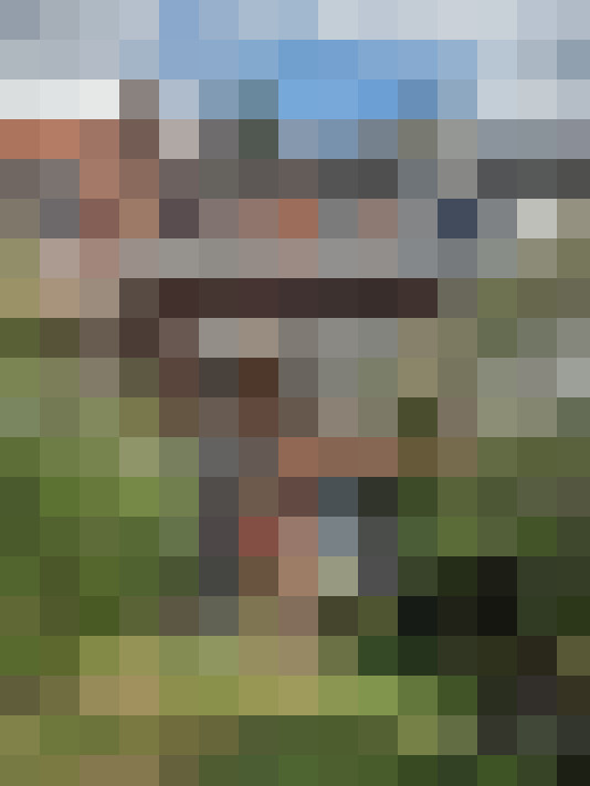 Image 31