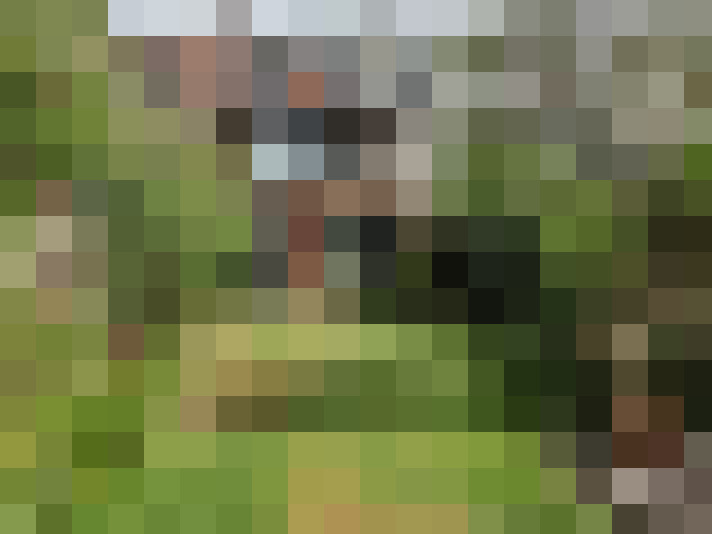Image 26